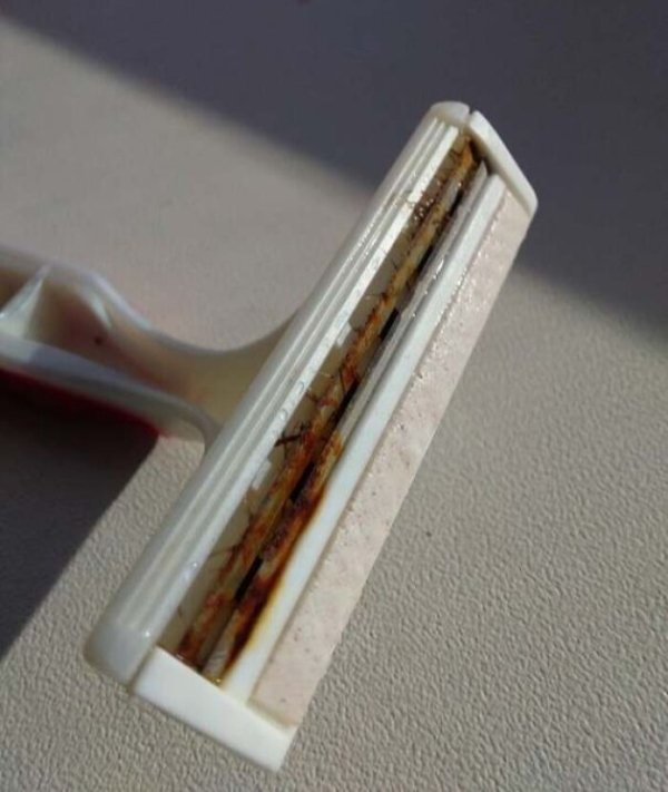 Annoying Habits Of Spouses (29 pics)