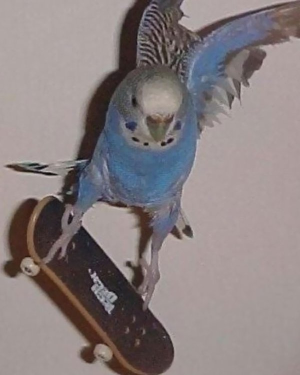 What Is Going On Here? (47 pics) What Is Going On Here? (47 pics)