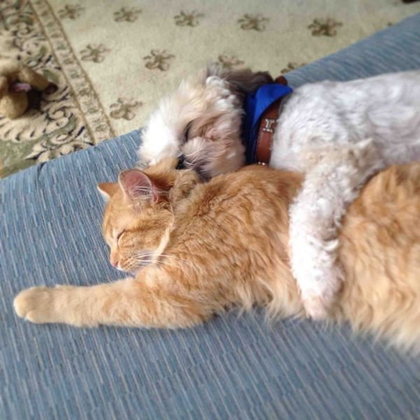 Cute Photos (50 pics)