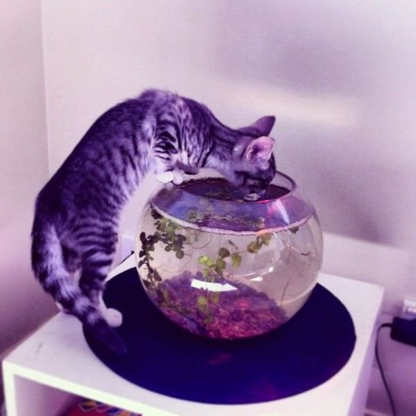 Cute Photos (50 pics)