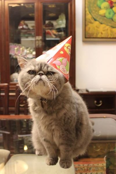 Cute Photos (50 pics)