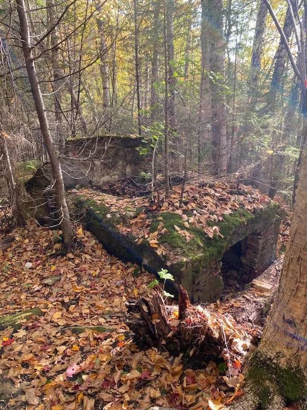 Unexpected Finds In The Forests (25 pics) Unexpected Finds In The Forests (25 pics)