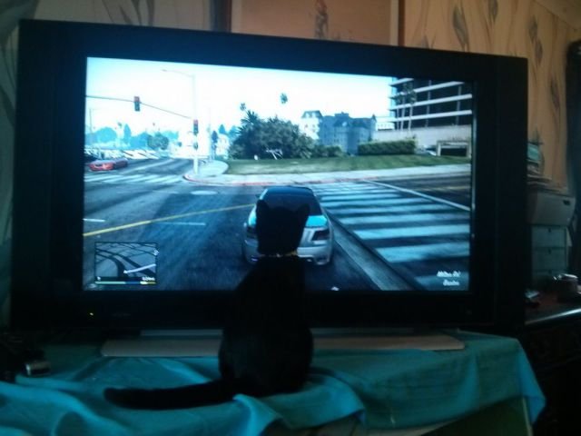 Cute Photos (50 pics)