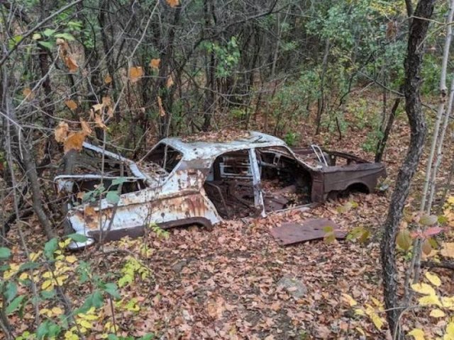 Unexpected Finds In The Forests (25 pics) Unexpected Finds In The Forests (25 pics)