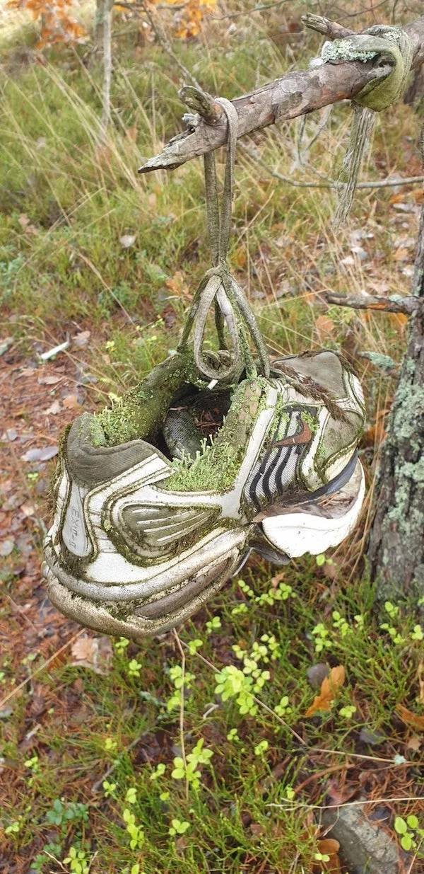Unexpected Finds In The Forests (25 pics) Unexpected Finds In The Forests (25 pics)