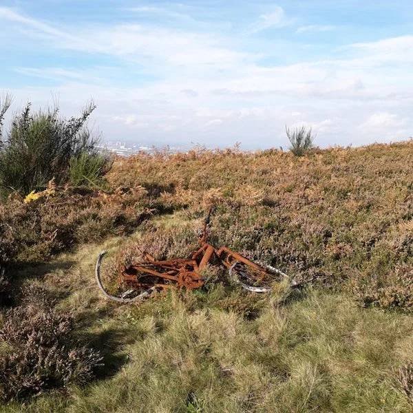 Unexpected Finds In The Forests (25 pics) Unexpected Finds In The Forests (25 pics)