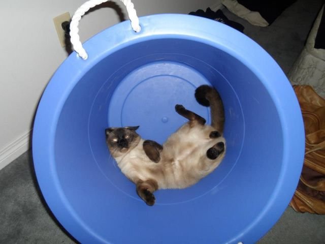 Cute Photos (50 pics)