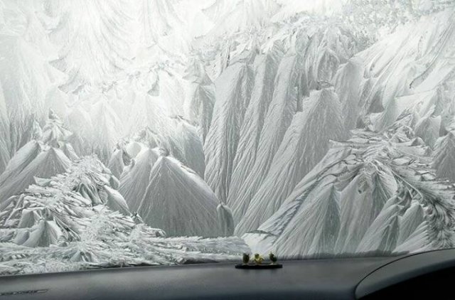 Interesting Finds And Photos (25 pics)