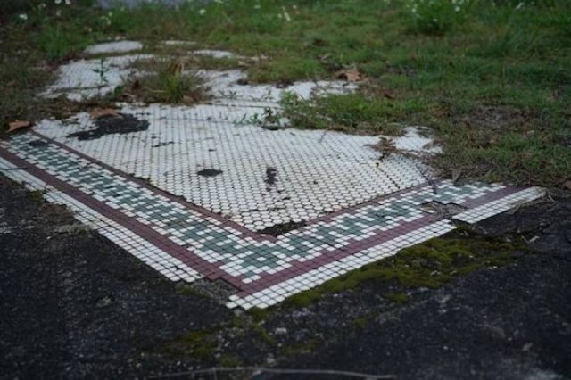 Unexpected Finds In The Forests (25 pics) Unexpected Finds In The Forests (25 pics)