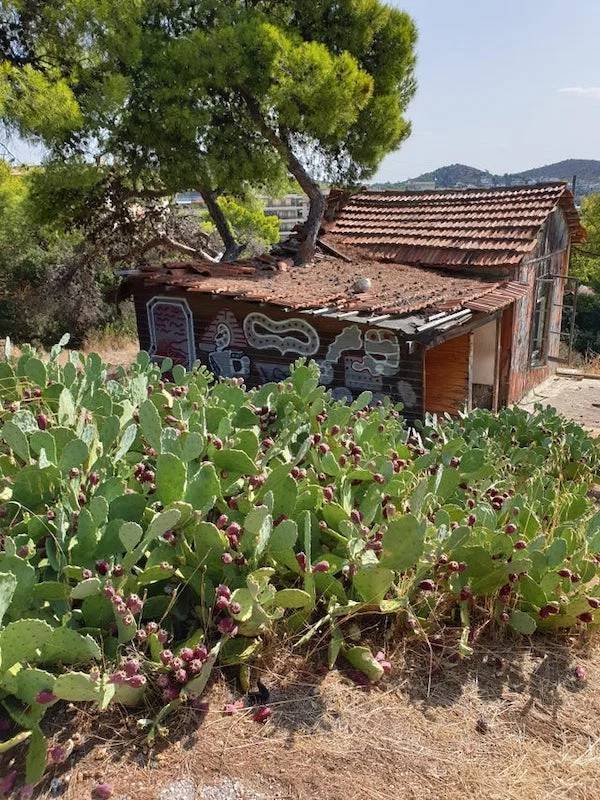 Unexpected Finds In The Forests (25 pics) Unexpected Finds In The Forests (25 pics)