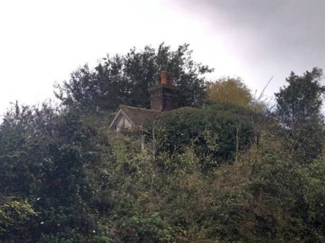 Unexpected Finds In The Forests (25 pics) Unexpected Finds In The Forests (25 pics)