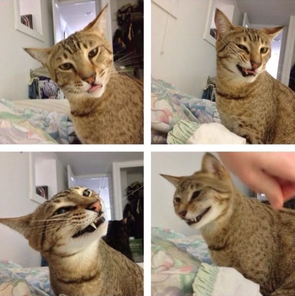 Cute Photos (50 pics)