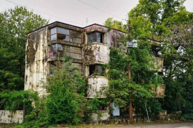 Unexpected Finds In The Forests (25 pics) Unexpected Finds In The Forests (25 pics)