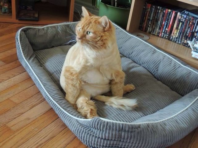 Cute Photos (50 pics)