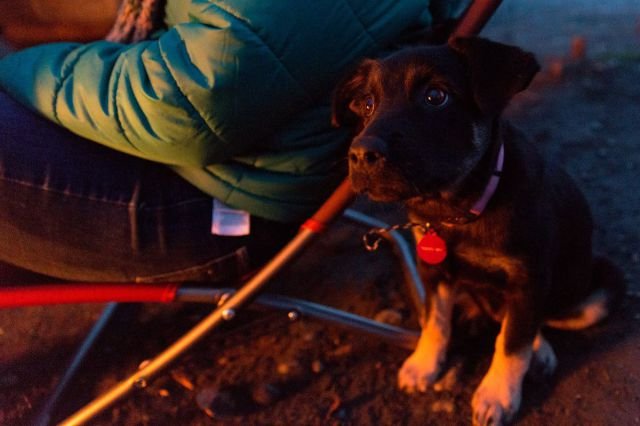 Cute Photos (50 pics)