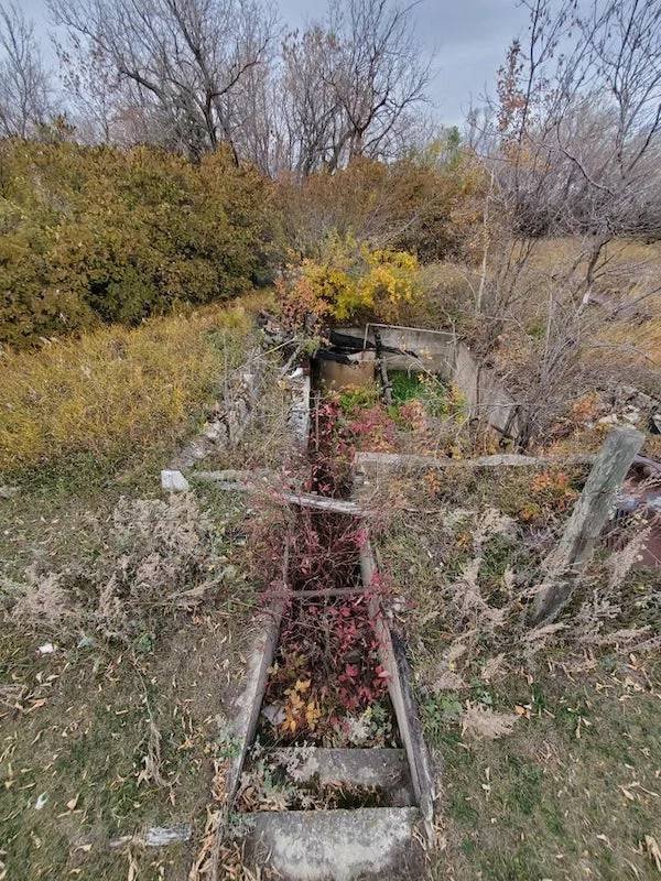 Unexpected Finds In The Forests (25 pics) Unexpected Finds In The Forests (25 pics)