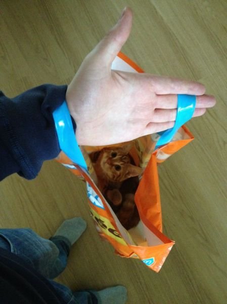 Cute Photos (50 pics)