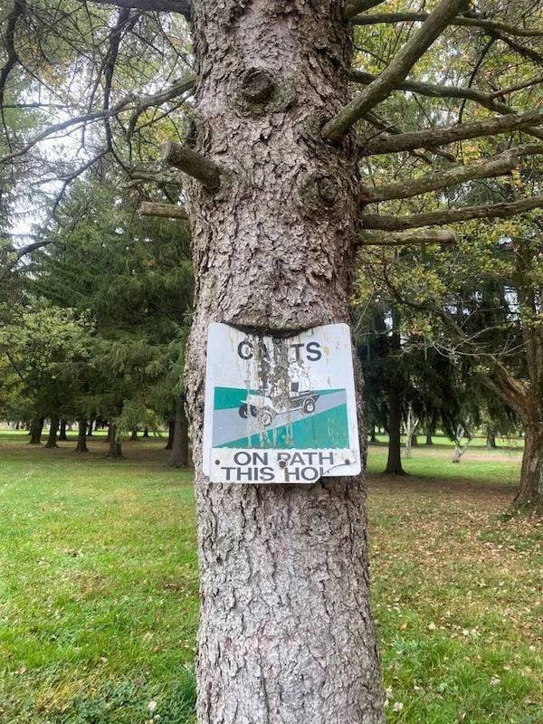 Unexpected Finds In The Forests (25 pics) Unexpected Finds In The Forests (25 pics)