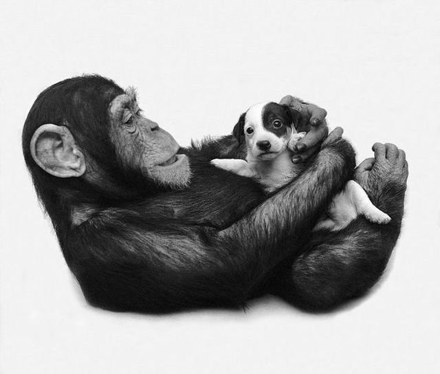 Cute Photos (50 pics)