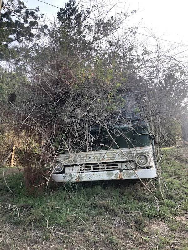 Unexpected Finds In The Forests (25 pics) Unexpected Finds In The Forests (25 pics)