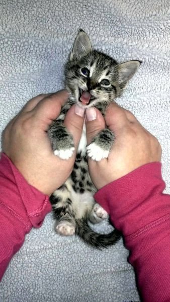 Cute Photos (50 pics)