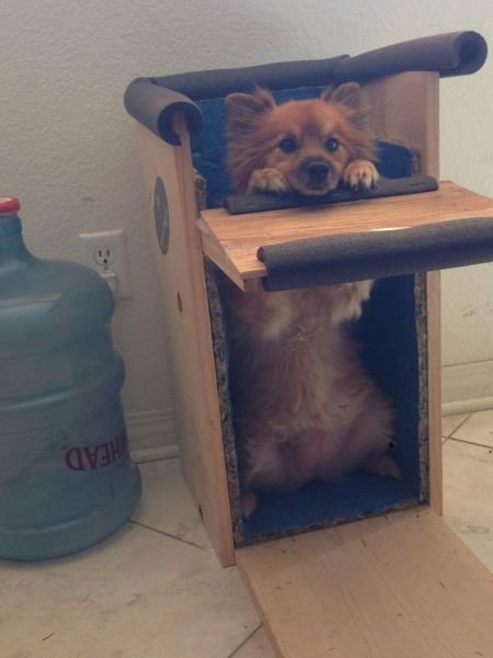 Cute Photos (50 pics)