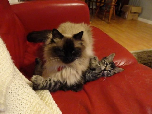 Cute Photos (50 pics)