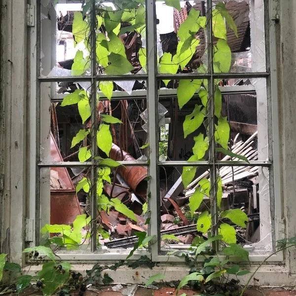 Unexpected Finds In The Forests (25 pics) Unexpected Finds In The Forests (25 pics)