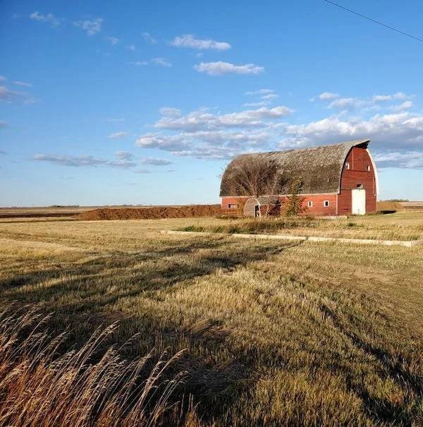 Unexpected Finds In The Forests (25 pics) Unexpected Finds In The Forests (25 pics)