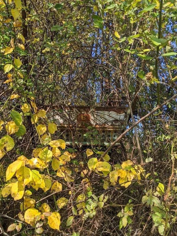 Unexpected Finds In The Forests (25 pics) Unexpected Finds In The Forests (25 pics)