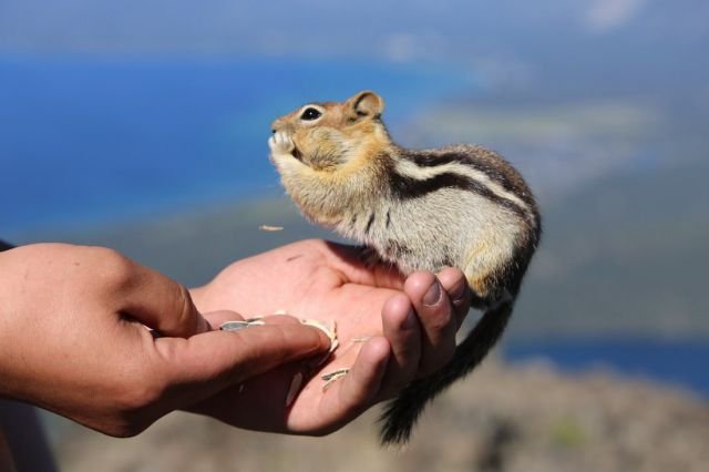 Cute Photos (50 pics)