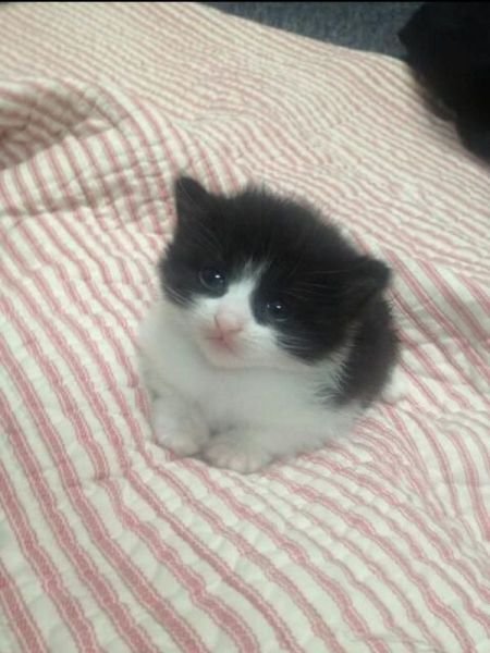 Cute Photos (50 pics)