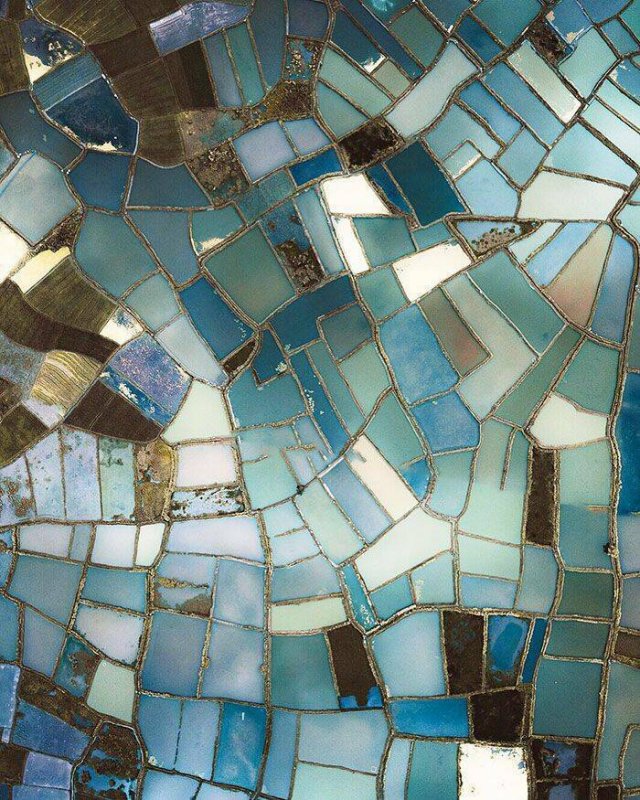 Interesting Finds And Photos (25 pics)