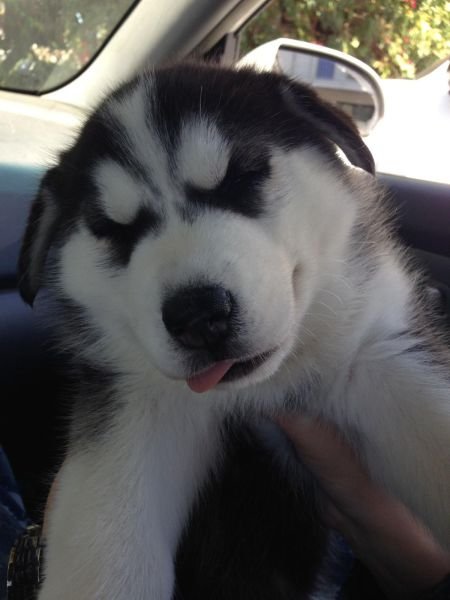 Cute Photos (50 pics)