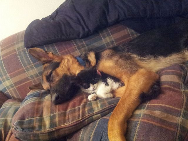 Cute Photos (50 pics)