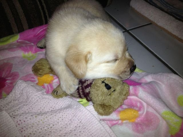 Cute Photos (50 pics)