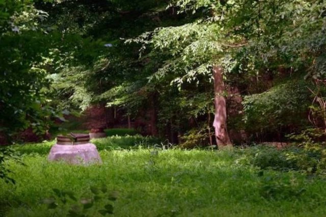 Unexpected Finds In The Forests (25 pics) Unexpected Finds In The Forests (25 pics)