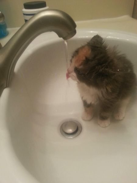 Cute Photos (50 pics)