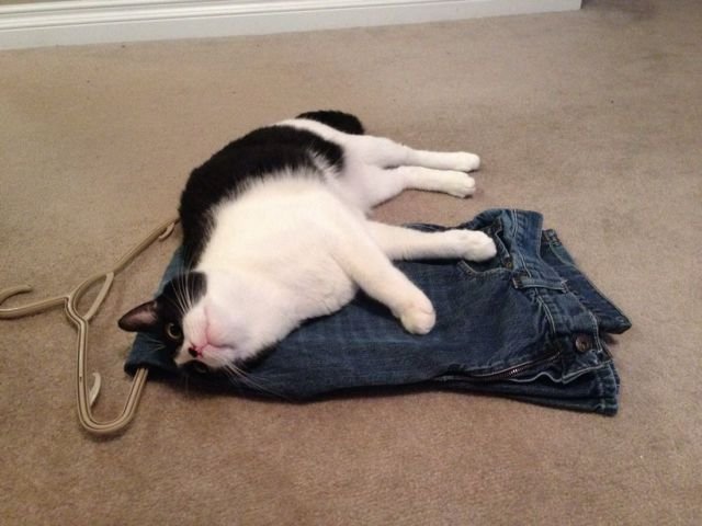 Cute Photos (50 pics)