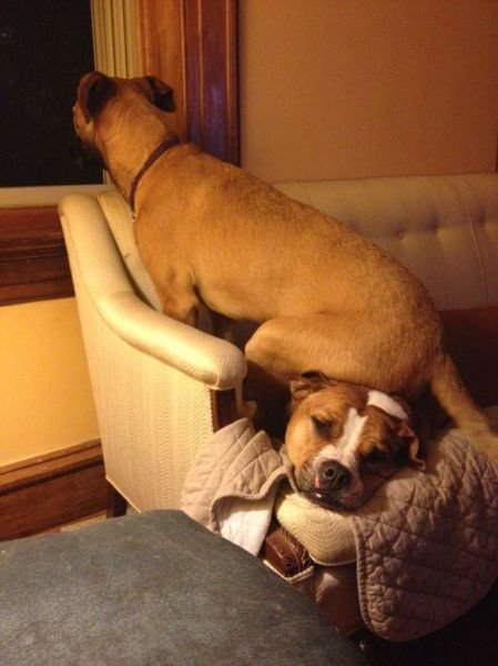 Cute Photos (50 pics)