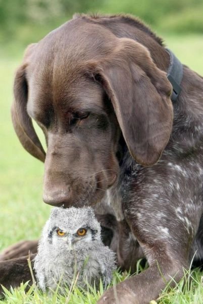 Cute Photos (50 pics)