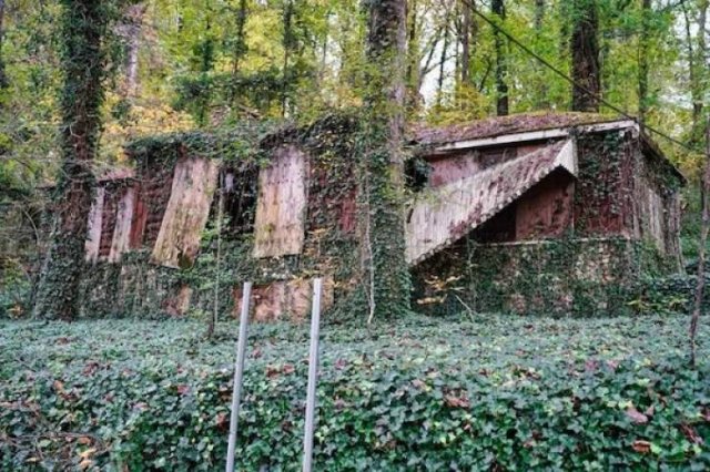 Unexpected Finds In The Forests (25 pics) Unexpected Finds In The Forests (25 pics)