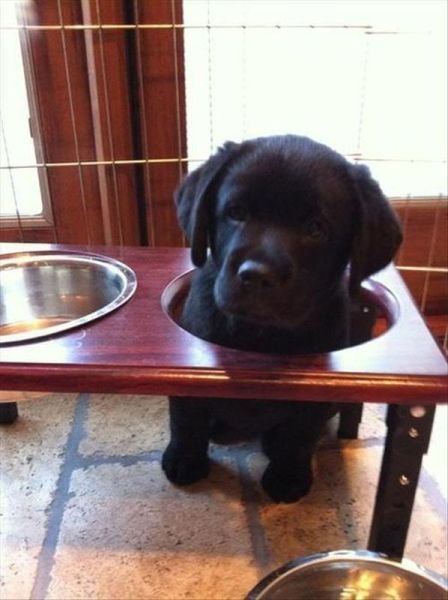 Cute Photos (50 pics)