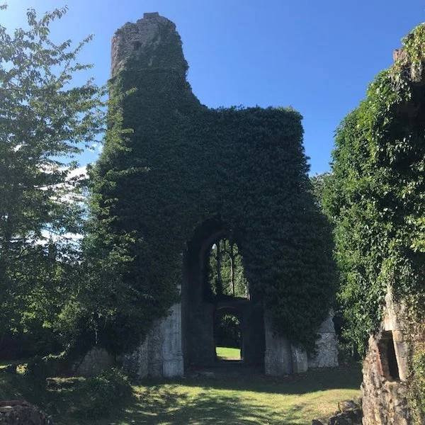 Unexpected Finds In The Forests (25 pics) Unexpected Finds In The Forests (25 pics)