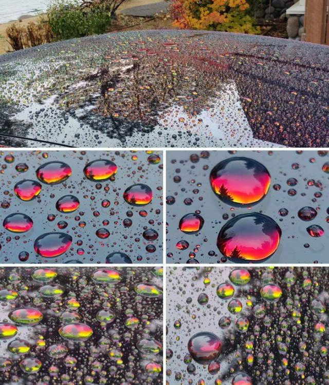 Interesting Finds And Photos (25 pics)