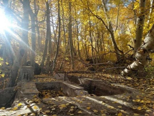 Unexpected Finds In The Forests (25 pics) Unexpected Finds In The Forests (25 pics)