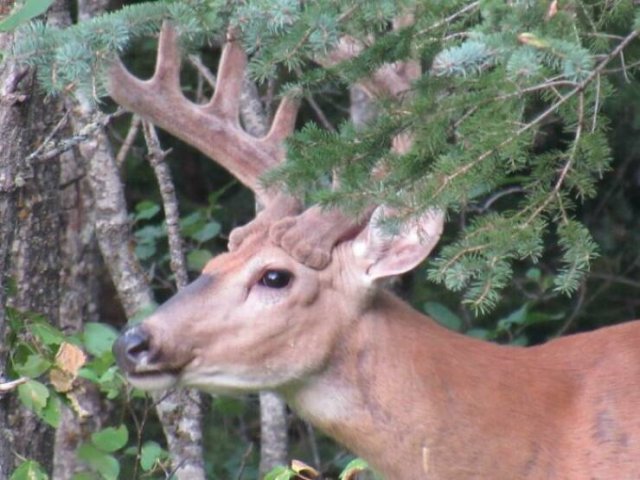 Interesting Finds And Photos (25 pics)