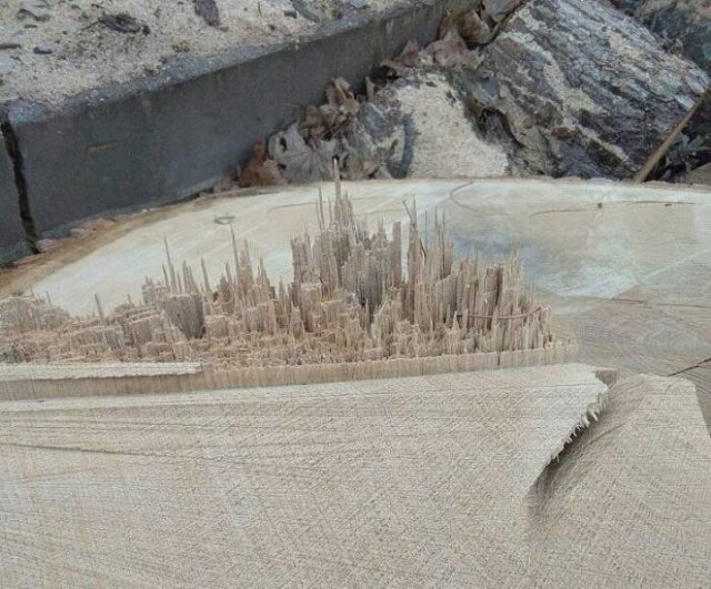 Interesting Finds And Photos (25 pics)