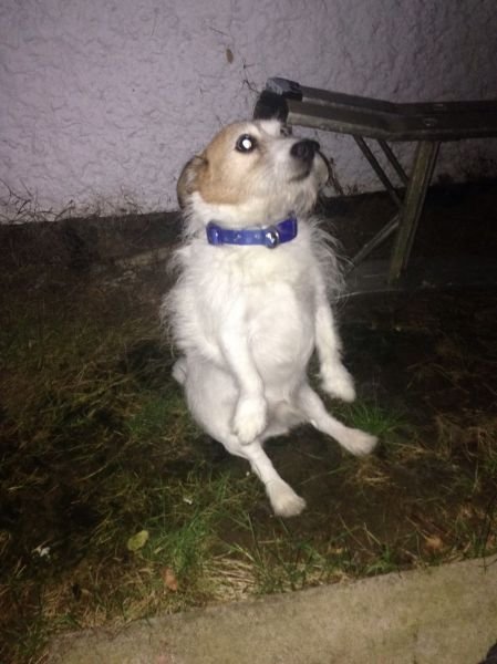 Cute Photos (50 pics)