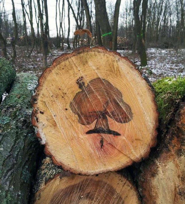 Interesting Finds And Photos (25 pics)